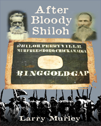 After Bloody Shiloh - A Novel by Larry Murley
